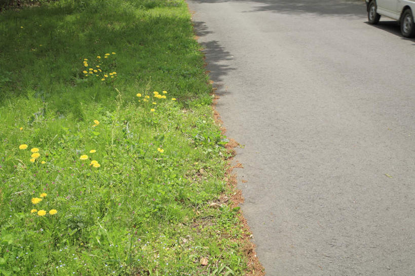 无人,横图,俯视,室外,白天,旅游,度假,草地,草坪,花海,花圃,美景,植物,道路,路,公路,汽车,叶子,一辆,阴影,盛开,光线,影子,景观,交通,花蕾,娱乐,车,草,花,花瓣,花朵,花卉,鲜花,黄色,红色,绿色,阳光,自然,交通工具,轿车,花丛,花束,花田,花苞,花蕊,享受,休闲,景色,放松,自然风光,马路,彩图,高角度拍摄
