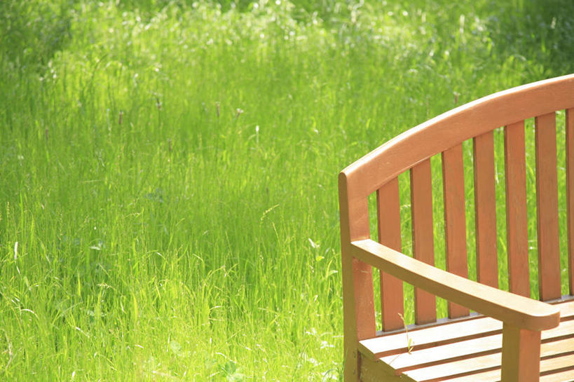 无人,横图,俯视,室外,白天,旅游,度假,草地,美景,植物,椅子,阴影,光线,影子,木椅,景观,娱乐,草,一个,绿色,阳光,自然,享受,休闲,景色,放松,单个,自然风光,彩图,高角度拍摄