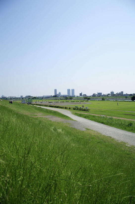 无人,高楼大厦,竖图,室外,白天,正面,度假,草地,草坪,河流,美景,水,植物,城市风光,标志建筑,城市,大厦,道路,地标,建筑,路,摩天大楼,东京,日本,亚洲,河水,景观,水流,建筑群,小路,交通,娱乐,建设,草,绿色,享受,休闲,景色,放松,东亚,本州,关东地方,本州岛,日本国,东京都,彩图,大楼,高层建筑,高楼,摩天楼