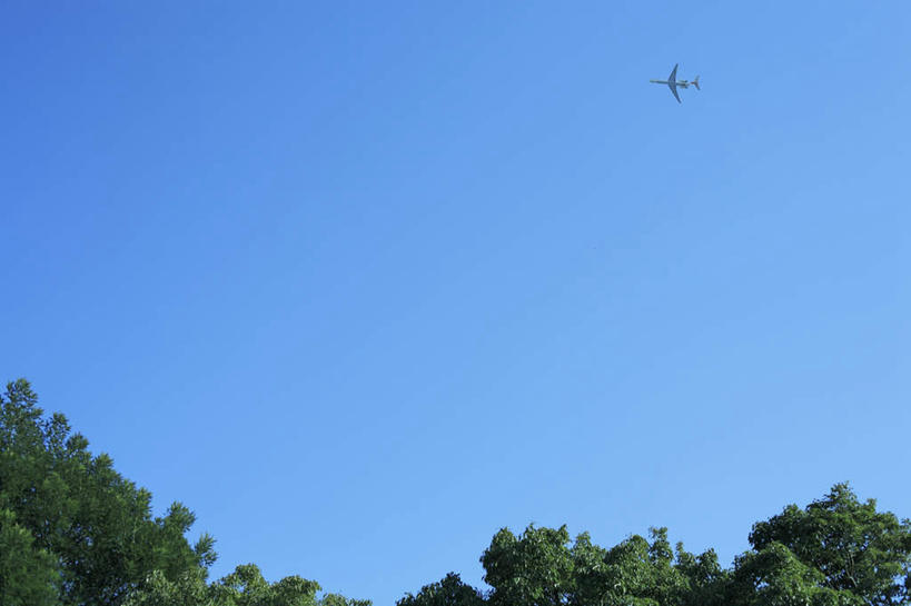 无人,横图,室外,白天,仰视,旅游,度假,美景,植物,飞机,景观,娱乐,航空,树,树木,蓝色,绿色,蓝天,天空,自然,交通工具,天,享受,休闲,景色,放松,生长,晴朗,成长,客机,自然风光,万里无云,晴空,晴空万里,彩图,低角度拍摄