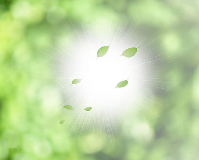 无人,横图,室内,白天,正面,数码,科技,叶子,许多,阴影,朦胧,模糊,飘扬,网络,绿叶,背光,高光,几何,计算机图形,合成,嫩叶,电脑合成图,数码合成图,逆光,写实,具体,具象,浮荡,漂荡,飘零,叶,叶片,彩图,飘荡