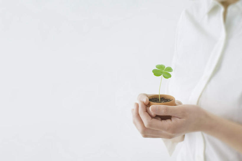 东方人,手,一个人,站,举,横图,室内,特写,白天,白色背景,正面,衬衫,自由,植物,亚洲,双手,仅一个年轻女性,仅一个女性,仅一个人,服装,朦胧,模糊,盆栽,四叶草,盆景,休闲装,黄种人,幸运草,衣服,绿色,自然,托,站着,休闲,手部,休闲服,摄影,服饰,影棚,生长,成长,和平,牛角花,统一,团结,幸运,年轻女性,女人,女性,亚洲人,举起,举手,举着,向上举,向上伸,向上托,站立,半身,彩图,影棚拍摄,衬衣,拍摄