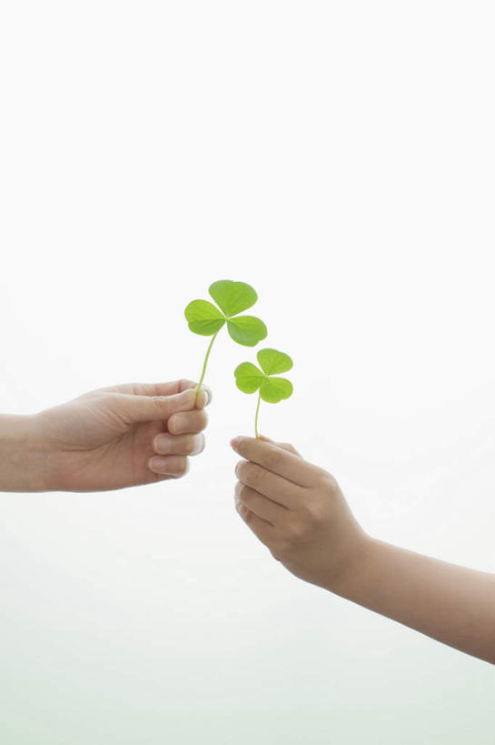 东方人,手,两个人,伙伴,朋友,站,举,竖图,室内,特写,白天,白色背景,侧面,自由,友谊,亚洲,双手,握,四叶草,拿,拿着,黄种人,幸运草,托,站着,手部,握着,摄影,影棚,和平,牛角花,统一,团结,幸运,友情,年轻女性,女人,女性,亚洲人,举起,举手,举着,向上举,向上伸,向上托,站立,半身,彩图,影棚拍摄,拍摄