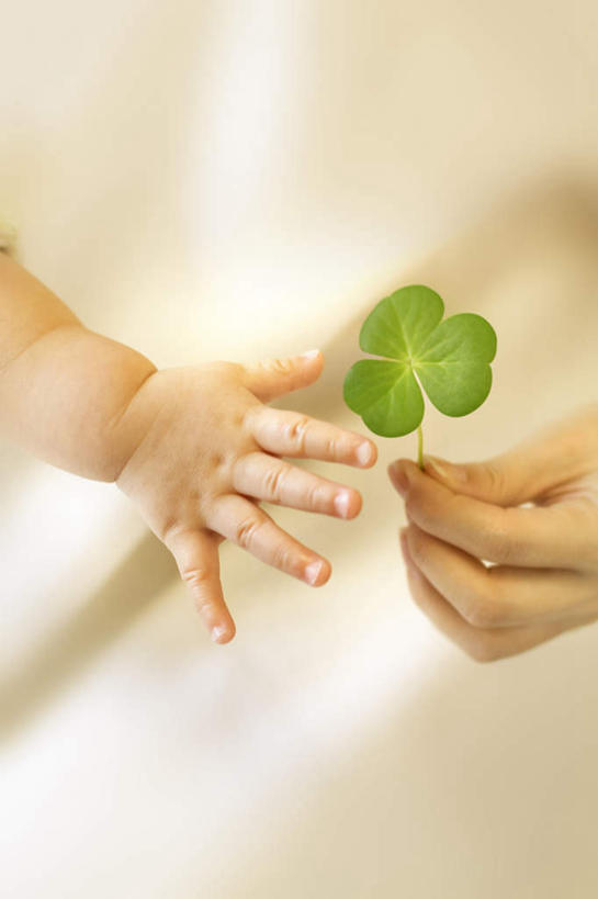 东方人,婴儿,儿童,手,两个人,家庭,母亲,儿子,竖图,俯视,室内,特写,白天,白色背景,爱情,自由,幸福,纯洁,亚洲,握,三叶草,拿,拿着,黄种人,小孩,温暖,温馨,母子,一家人,手部,可爱,母爱,握着,摄影,活泼,影棚,希望,单手,和睦,宝宝,和平,纯真,烂漫,无邪,车轴草,苜蓿,统一,伶俐,天真,团结,年轻女性,女人,女性,亚洲人,孩子,年轻人,半身,彩图,高角度拍摄,影棚拍摄,拍摄,融洽