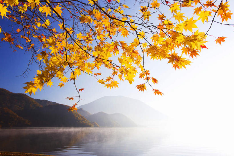 无人,横图,室外,白天,正面,旅游,度假,美景,秋季,森林,山,山脉,树林,植物,叶子,日本,亚洲,朦胧,模糊,景观,山峰,山峦,背光,娱乐,树,树木,黄色,蓝色,绿色,蓝天,天空,自然,群山,天,享受,休闲,景色,放松,生长,晴朗,成长,自然风光,逆光,东亚,本州,万里无云,关东地方,本州岛,日本国,栃木,栃木县,叶,叶片,晴空,晴空万里,秋天,彩图