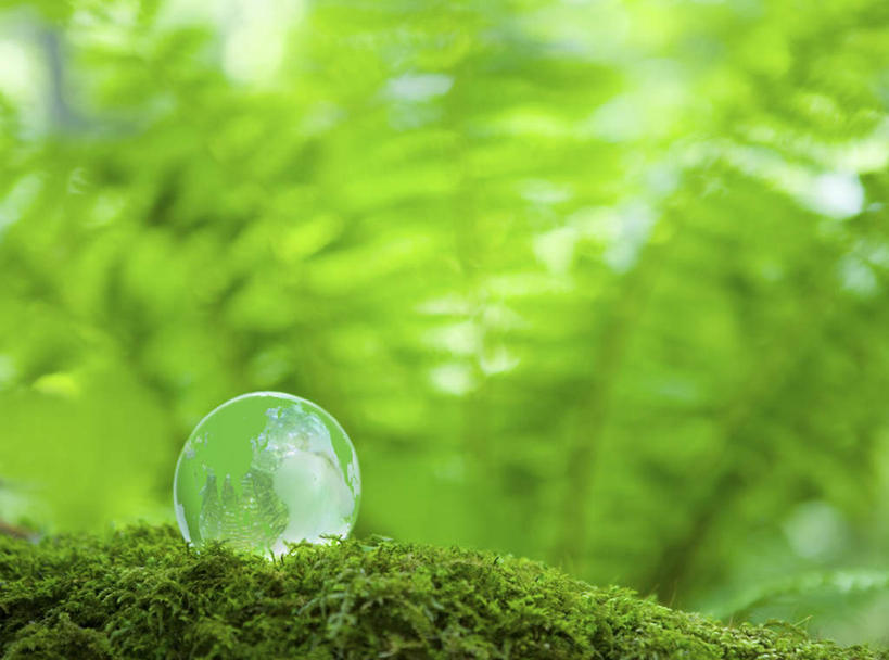 无人,横图,室外,特写,白天,正面,旅游,度假,草地,草坪,美景,植物,叶子,朦胧,模糊,透明,景观,绿叶,水晶,娱乐,草,一个,绿色,自然,享受,休闲,球体,嫩叶,水晶球,景色,放松,单个,自然风光,水晶制品,叶,叶片,彩图