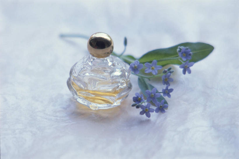 无人,横图,俯视,室内,特写,白天,时尚,餐桌,桌子,勿忘我,朦胧,模糊,芳香,盛开,香气,花蕾,玻璃制品,酒瓶,花,花瓣,花朵,鲜花,一个,紫色,玻璃瓶,瓶子,花苞,花蕊,品味,香水,单个,餐台,优雅,气味,高雅,芬芳,除臭,星辰花,勿忘草,斯太菊,矶松,彩图,高角度拍摄