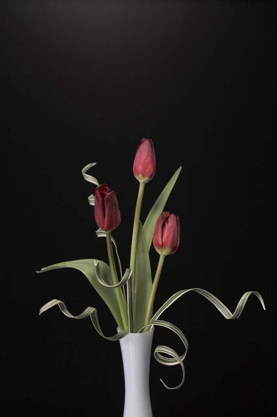 无人,竖图,室内,特写,白天,正面,爱情,郁金香,花瓶,三朵,黑色背景,盛开,陶瓷,陶瓷制品,祝福,花蕾,花,花瓣,花朵,鲜花,红色,瓶子,花苞,花蕊,摄影,影棚,表白,荣誉,永恒,郁香,洋荷花,草麝香,彩图,影棚拍摄,拍摄