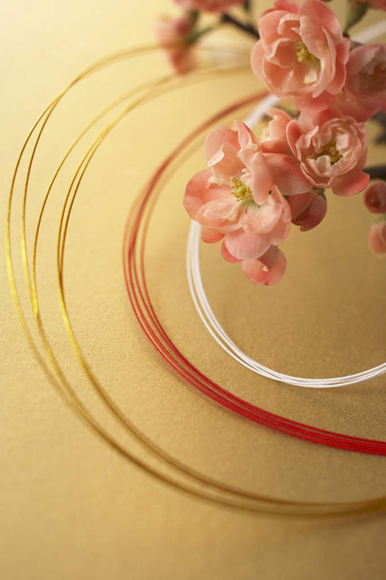 无人,竖图,俯视,室内,特写,白天,许多,朦胧,模糊,艺术,盛开,手工艺品,梅花,艺术品,花蕾,文化,花,花瓣,花朵,鲜花,粉色,工艺品,花苞,花蕊,摄影,影棚,高雅,坚强,自信心,品位,花纸绳,日本水引,日本水引绣,水引,水引绣,梅,彩图,高角度拍摄,影棚拍摄,拍摄