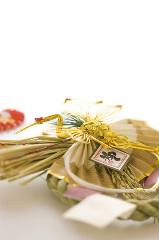 无人,竖图,俯视,室内,特写,白天,白色背景,丹顶鹤,鸟,朦胧,模糊,艺术,鹤,鸟类,手工艺品,艺术品,文化,工艺品,摄影,影棚,吉祥,高雅,自信心,品位,长寿,鴜鷜,忠贞,花纸绳,日本水引,日本水引绣,水引绣,仙鹤,彩图,高角度拍摄,影棚拍摄,拍摄