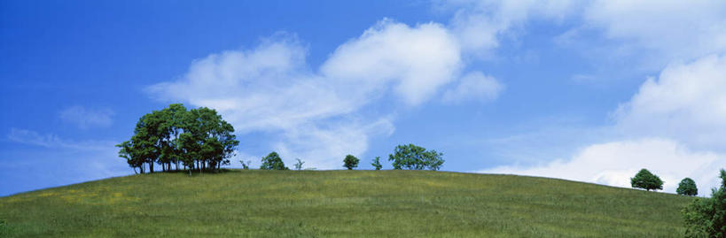 无人,横图,全景,室外,白天,正面,旅游,度假,草地,草坪,美景,植物,北海道,日本,亚洲,景观,云,云朵,云彩,娱乐,草,树,树木,蓝色,绿色,白云,蓝天,天空,自然,天,享受,休闲,景色,放松,生长,晴朗,成长,自然风光,东亚,日本国,北海道地方,北海道岛,晴空,彩图,泷川,泷川市,滝川,滝川市,丸加高原