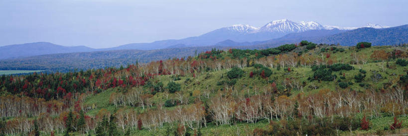 无人,横图,全景,俯视,室外,白天,旅游,度假,美景,秋季,山,树林,雪,雪山,植物,大雪,北海道,日本,亚洲,冰,积雪,景观,山峰,雪景,冬季,冬天,山峦,娱乐,树,树木,蓝色,绿色,蓝天,天空,自然,天,享受,休闲,景色,放松,寒冷,生长,晴朗,成长,冰冷,自然风光,东亚,万里无云,日本国,北海道地方,北海道岛,严寒,冰凉,酷寒,凛冽,凛凛,极冷,晴空,晴空万里,秋,秋天,彩图,高角度拍摄