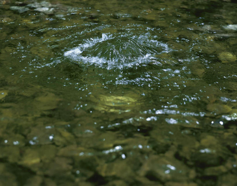 无人,横图,俯视,室外,白天,旅游,度假,河流,石头,美景,水,北海道,日本,亚洲,朦胧,模糊,石子,液体,河水,景观,水滴,水流,娱乐,自然,泡泡,享受,休闲,景色,放松,自然风光,东亚,日本国,北海道地方,北海道岛,石块,彩图,高角度拍摄