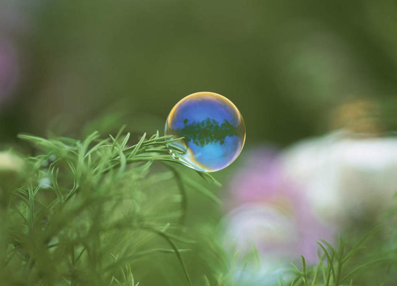 无人,横图,彩色,室外,特写,白天,正面,旅游,度假,美景,叶子,北海道,日本,亚洲,朦胧,模糊,漂浮,景观,绿叶,娱乐,自然,泡泡,享受,休闲,悬浮,嫩叶,景色,放松,自然风光,东亚,日本国,北海道地方,北海道岛,富良野,叶,叶片,彩图