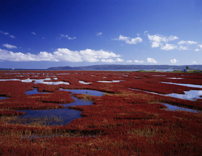 无人,横图,俯视,航拍,室外,白天,旅游,度假,草地,草坪,湖,湖泊,美景,水,植物,北海道,日本,亚洲,地平线,湖面,景观,水流,水面,云,云朵,辽阔,地面,云彩,娱乐,草,蓝色,绿色,白云,蓝天,天空,自然,湖水,天,享受,休闲,景色,放松,生长,晴朗,成长,一望无际,沼泽,鸟瞰,自然风光,延伸,东亚,日本国,天地相交,北海道地方,北海道岛,海蓬子,晴空,彩图,高角度拍摄,道东,网走,网走市,网走支厅