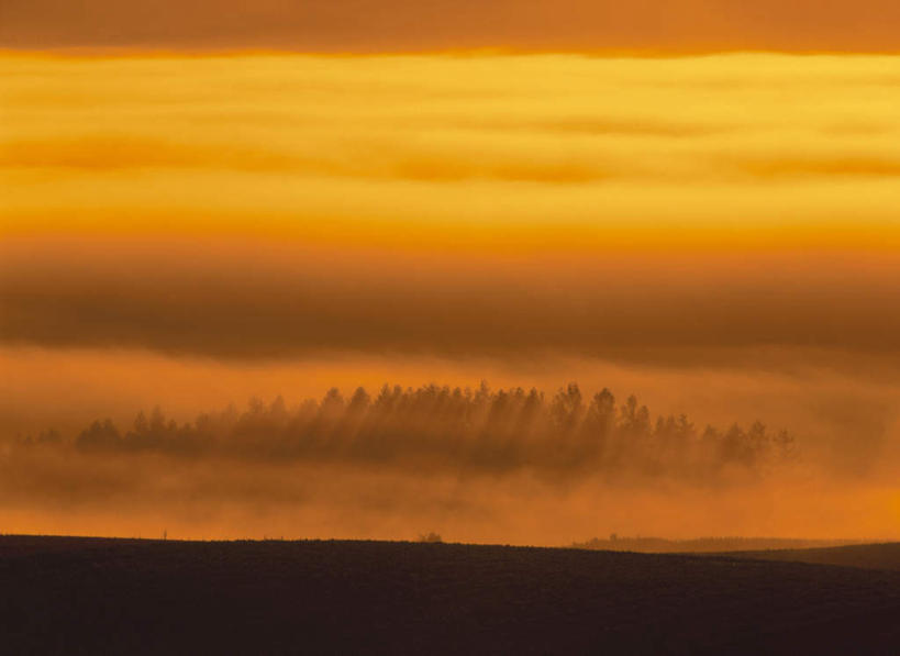 无人,横图,俯视,航拍,室外,白天,旅游,度假,草地,草坪,日出,美景,树林,太阳,植物,雾,北海道,日本,亚洲,朦胧,模糊,景观,朝霞,晨曦,黎明,娱乐,草,树,树木,绿色,阳光,自然,享受,休闲,景色,放松,生长,成长,迷雾,鸟瞰,自然风光,东亚,日本国,北海道地方,北海道岛,上富良野町,朝阳,大雾,彩图,高角度拍摄,破晓,上川支厅