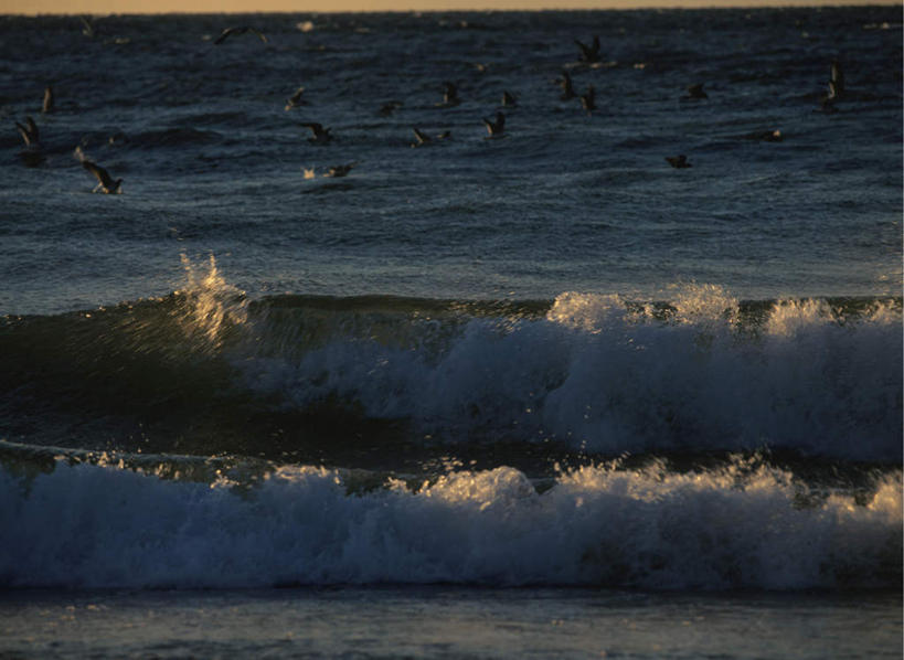 无人,横图,俯视,室外,白天,旅游,度假,海浪,海洋,美景,日落,鸟,神奈川,日本,亚洲,许多,飞翔,飞行,鸟类,景观,浪花,水平线,晚霞,霞光,落日,辽阔,海平线,神奈川县,背光,娱乐,自然,海水,黄昏,享受,休闲,广阔,景色,彩霞,放松,一望无际,自然风光,逆光,海景,东亚,本州,关东地方,本州岛,日本国,无边无际,一马平川,夕照,大海,风浪,海,海水的波动,近岸浪,涌浪,夕阳,彩图,高角度拍摄,全身,水天相接,水天一线,斜阳,小田原