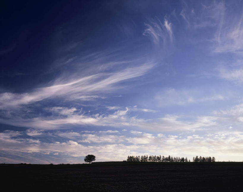 无人,横图,室外,白天,正面,旅游,度假,美景,植物,北海道,日本,亚洲,一排,整齐,地平线,景观,云,云朵,辽阔,地面,云彩,娱乐,树,树木,排列,蓝色,绿色,白云,蓝天,天空,自然,天,享受,休闲,景色,放松,生长,晴朗,成长,一望无际,队列,自然风光,延伸,东亚,日本国,天地相交,北海道地方,北海道岛,美瑛町,美瑛,晴空,彩图
