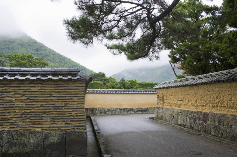 无人,横图,室外,白天,正面,旅游,度假,美景,植物,雾,道路,路,公路,日本,亚洲,朦胧,模糊,墙,景观,交通,娱乐,砖墙,墙壁,墙面,树,树木,绿色,自然,享受,休闲,景色,放松,生长,成长,迷雾,自然风光,东亚,本州,本州岛,日本国,中国地方,山口,山口县,大雾,马路,彩图