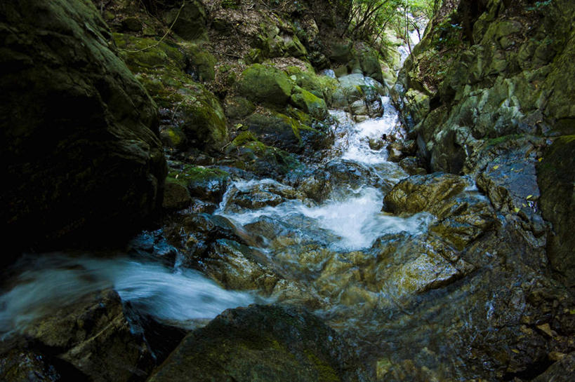 无人,横图,室外,白天,正面,旅游,度假,河流,石头,美景,水,植物,日本,亚洲,飞溅,溅,石子,液体,河水,景观,水滴,水流,娱乐,水珠,树,树木,绿色,小溪,自然,溪水,享受,休闲,景色,放松,生长,成长,喷洒,自然风光,东亚,本州,本州岛,日本国,近畿地方,近畿,滋贺,滋贺县,石块,岩石,彩图