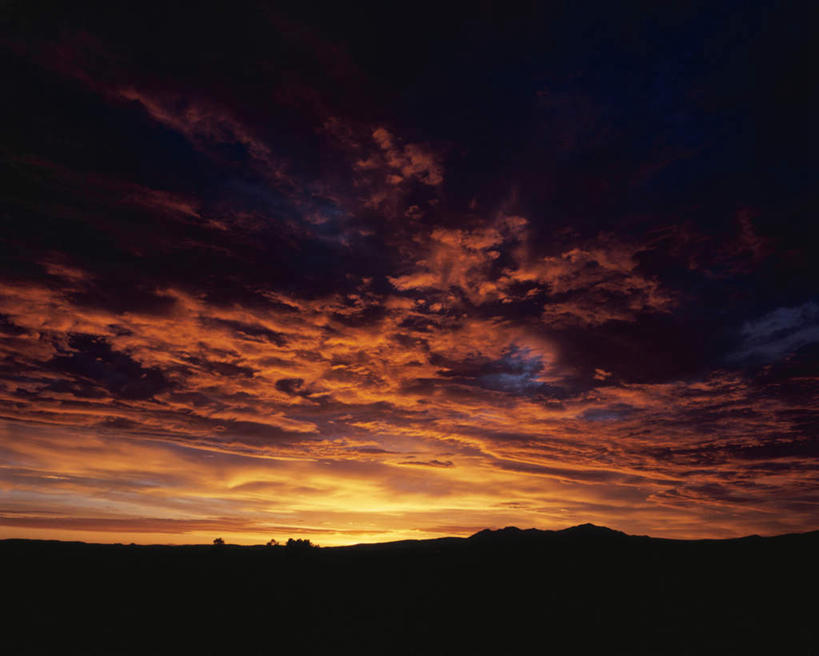 无人,横图,室外,白天,仰视,旅游,度假,日出,美景,山,山脉,树林,太阳,植物,北海道,日本,亚洲,景观,山峰,朝霞,晨曦,黎明,山峦,背光,娱乐,树,树木,绿色,阳光,自然,群山,享受,休闲,景色,放松,生长,成长,自然风光,逆光,东亚,日本国,北海道地方,北海道岛,朝阳,彩图,低角度拍摄,破晓