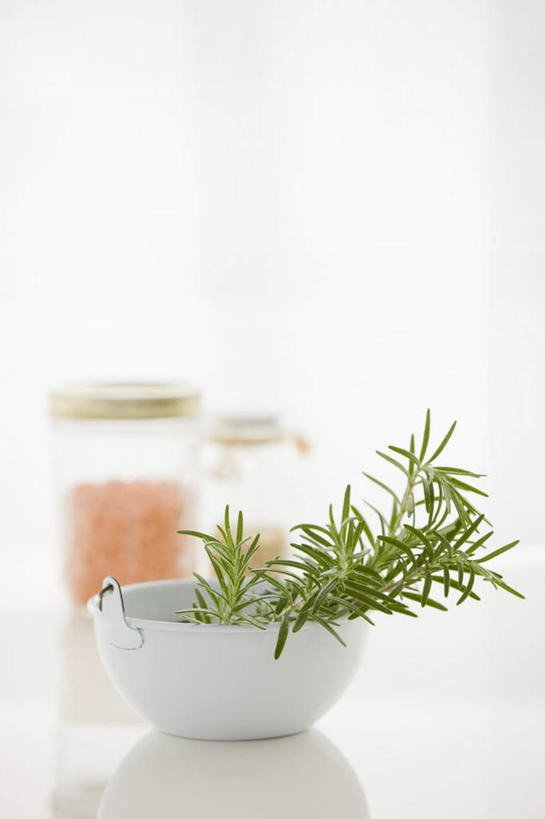 无人,竖图,室内,特写,白天,白色背景,正面,植物,餐桌,桌子,餐具,朦胧,模糊,罐子,调料,草药,药草,调味品,调味料,中药,玻璃制品,两个,一个,玻璃瓶,瓶子,碗,摄影,影棚,单个,餐台,迷迭香,药材,中草药,中药材,本草,海洋之露,进餐用具,烹调用具,彩图,影棚拍摄,拍摄