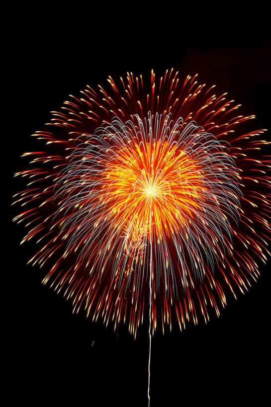 无人,竖图,室外,特写,夜晚,仰视,旅游,度假,烟火,朦胧,模糊,庆祝,美丽,娱乐,黑色,天空,焰火,天,享受,休闲,闪耀,放松,庆贺,闪烁,祝贺,礼花,花炮,礼花炮,绚烂,闪动,闪灼,烟花,彩图,低角度拍摄