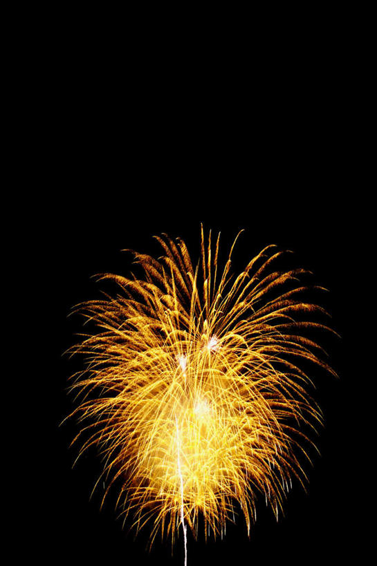 无人,竖图,室外,特写,夜晚,仰视,旅游,度假,烟火,朦胧,模糊,庆祝,美丽,娱乐,黑色,天空,焰火,天,享受,休闲,闪耀,放松,庆贺,闪烁,祝贺,礼花,花炮,礼花炮,绚烂,闪动,闪灼,烟花,彩图,低角度拍摄