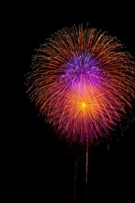 无人,竖图,室外,特写,夜晚,仰视,旅游,度假,烟火,朦胧,模糊,庆祝,美丽,娱乐,黑色,天空,焰火,天,享受,休闲,闪耀,放松,庆贺,闪烁,祝贺,礼花,花炮,礼花炮,绚烂,闪动,闪灼,烟花,彩图,低角度拍摄