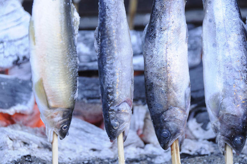 海鲜,无人,横图,俯视,室内,特写,白天,一排,朦胧,模糊,整齐,鱼,冰块,水产,鱼类,竹签,海洋生物,排列,四条,寒冷,冰冷,队列,水生动物,海产品,水生物,海底动物,严寒,四串,冰凉,酷寒,凛冽,凛凛,极冷,彩图,高角度拍摄