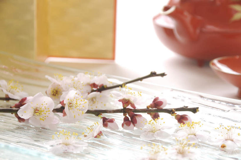 无人,横图,俯视,室内,特写,白天,白色背景,餐桌,桌子,餐具,许多,朦胧,模糊,盛开,碟子,壶,盘,梅花,花蕾,水壶,花,花瓣,花朵,鲜花,白色,盘子,茶壶,碟,花苞,花蕊,摄影,影棚,餐台,高雅,坚强,梅,彩图,高角度拍摄,影棚拍摄,拍摄