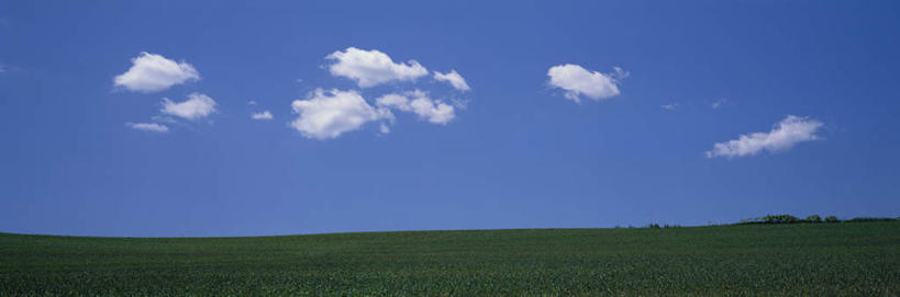 无人,横图,全景,室外,白天,正面,旅游,度假,草地,草坪,美景,天际线,植物,北海道,日本,亚洲,地平线,景观,云,云朵,辽阔,地面,云彩,娱乐,草,蓝色,绿色,白云,蓝天,天空,自然,天,享受,休闲,景色,放松,晴朗,一望无际,自然风光,延伸,东亚,日本国,天地相交,北海道地方,北海道岛,美瑛町,美瑛,晴空,彩图