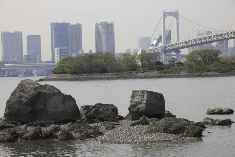 无人,高楼大厦,横图,室外,白天,正面,度假,河流,石头,美景,水,城市风光,城市,大桥,大厦,建筑,立交桥,摩天大楼,桥梁,东京,日本,亚洲,阴影,朦胧,模糊,光线,石子,影子,河水,景观,水流,高架,斜拉桥,桥,娱乐,建设,蓝色,蓝天,天空,阳光,天,享受,休闲,景色,放松,晴朗,东亚,本州,万里无云,关东地方,本州岛,日本国,东京都,石块,岩石,晴空,晴空万里,彩图,大楼,高层建筑,高楼,摩天楼