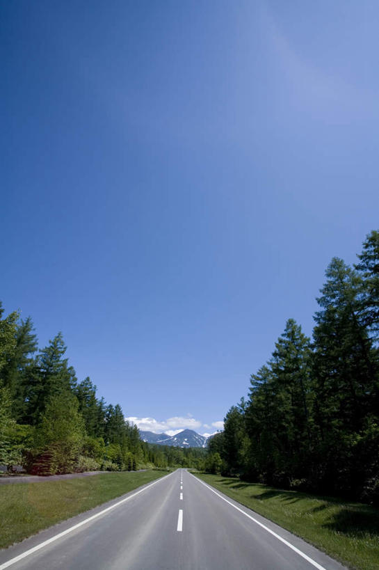 无人,竖图,室外,白天,正面,旅游,度假,美景,山,山脉,树林,植物,道路,路,公路,北海道,日本,亚洲,一排,阴影,朦胧,模糊,整齐,光线,影子,景观,山峰,云,云朵,分界线,停车线,交通,山峦,云彩,娱乐,树,树木,排列,蓝色,绿色,白云,蓝天,天空,阳光,自然,群山,天,享受,休闲,景色,放松,生长,晴朗,成长,车行道,车行道分界线,队列,自然风光,标线,东亚,车行线,日本国,北海道地方,北海道岛,美瑛町,美瑛,晴空,马路,彩图