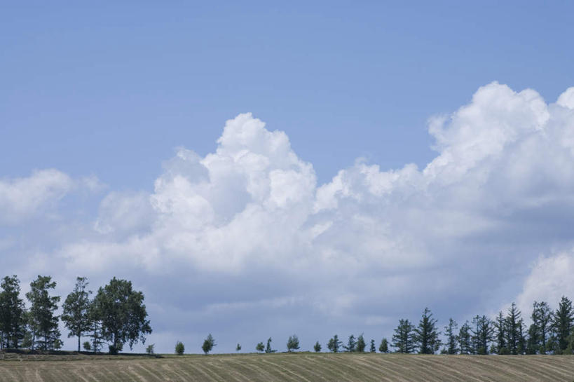 无人,农田,横图,全景,室外,白天,正面,旅游,度假,庄稼,农作物,草地,草坪,美景,树林,天际线,植物,北海道,日本,亚洲,地平线,景观,云,云朵,辽阔,地面,云彩,娱乐,草,树,树木,蓝色,绿色,白云,蓝天,天空,自然,天,享受,休闲,景色,放松,生长,晴朗,成长,一望无际,自然风光,延伸,东亚,日本国,天地相交,北海道地方,北海道岛,美瑛町,美瑛,晴空,彩图,耕地,庄稼田