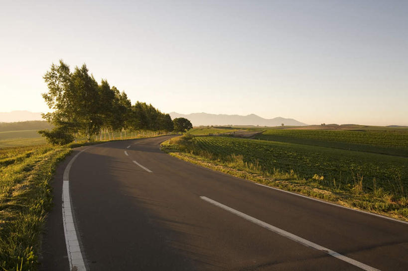 无人,横图,室外,白天,正面,旅游,度假,草地,草坪,日出,美景,太阳,植物,道路,路,公路,北海道,日本,亚洲,阴影,朦胧,模糊,光线,影子,地平线,景观,辽阔,分界线,地面,停车线,交通,朝霞,晨曦,黎明,娱乐,草,绿色,阳光,自然,享受,休闲,广阔,景色,放松,车行道,车行道分界线,一望无际,自然风光,延伸,标线,东亚,车行线,日本国,天地相交,北海道地方,北海道岛,美瑛町,美瑛,无边无际,一马平川,朝阳,马路,彩图,破晓