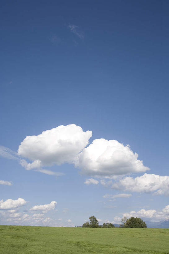 无人,竖图,全景,室外,白天,仰视,旅游,度假,草地,草坪,美景,树林,天际线,植物,北海道,日本,亚洲,朦胧,模糊,地平线,景观,云,云朵,辽阔,地面,云彩,娱乐,草,树,树木,蓝色,绿色,白云,蓝天,天空,自然,天,享受,休闲,景色,放松,生长,晴朗,成长,一望无际,自然风光,延伸,东亚,日本国,天地相交,北海道地方,北海道岛,美瑛町,美瑛,晴空,彩图,低角度拍摄