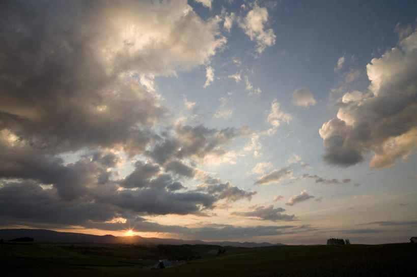 无人,农田,横图,全景,室外,白天,仰视,旅游,度假,庄稼,农作物,日出,美景,太阳,天际线,植物,北海道,日本,亚洲,朦胧,模糊,地平线,景观,辽阔,地面,朝霞,晨曦,黎明,背光,娱乐,树,树木,绿色,天空,阳光,自然,天,享受,休闲,景色,放松,生长,成长,一望无际,自然风光,延伸,逆光,东亚,日本国,天地相交,北海道地方,北海道岛,美瑛町,美瑛,朝阳,彩图,低角度拍摄,耕地,庄稼田,破晓