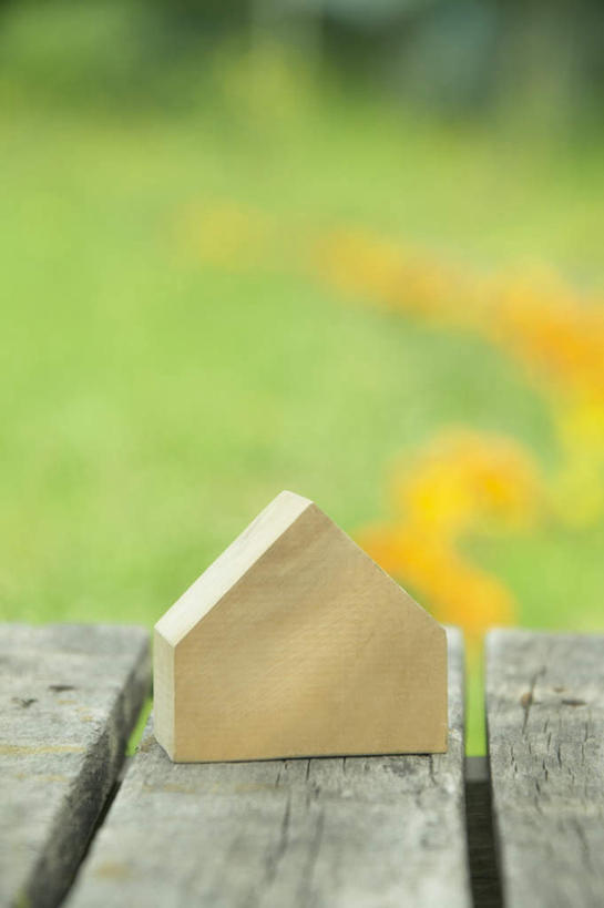 无人,家,木屋,竖图,俯视,室外,白天,旅游,度假,草地,草坪,美景,植物,朦胧,模糊,立体,空间,地平线,景观,辽阔,地面,娱乐,住宅,草,蓝色,绿色,蓝天,天空,自然,模型,天,享受,休闲,景色,放松,规划,晴朗,一望无际,自然风光,延伸,万里无云,天地相交,直观,建筑模型,建筑设计,设计,晴空,晴空万里,彩图,高角度拍摄,茅舍,茅屋,棚屋,小木屋,小屋