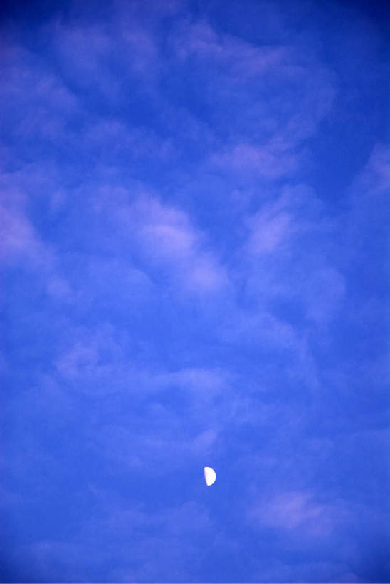 无人,竖图,室外,夜晚,仰视,旅游,度假,美景,景观,月亮,云,云朵,月光,云彩,娱乐,蓝色,白云,蓝天,天空,自然,天,享受,休闲,景色,放松,晴朗,明亮,自然风光,皎洁,晴空,彩图,低角度拍摄,一轮