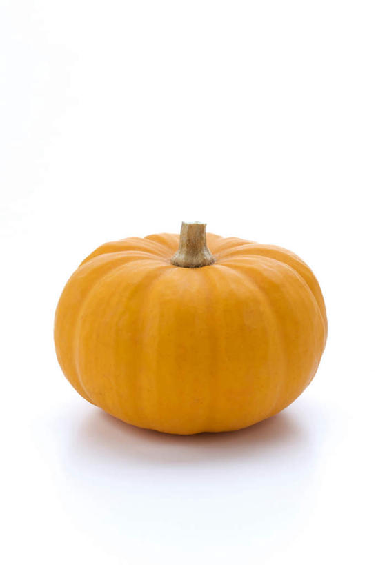 无人,竖图,室内,特写,白天,白色背景,正面,南瓜,蔬菜,朦胧,模糊,新鲜,金瓜,食品,番瓜,食物,一个,摄影,有机食品,绿色食品,影棚,单个,麦瓜,倭瓜,彩图,影棚拍摄,拍摄