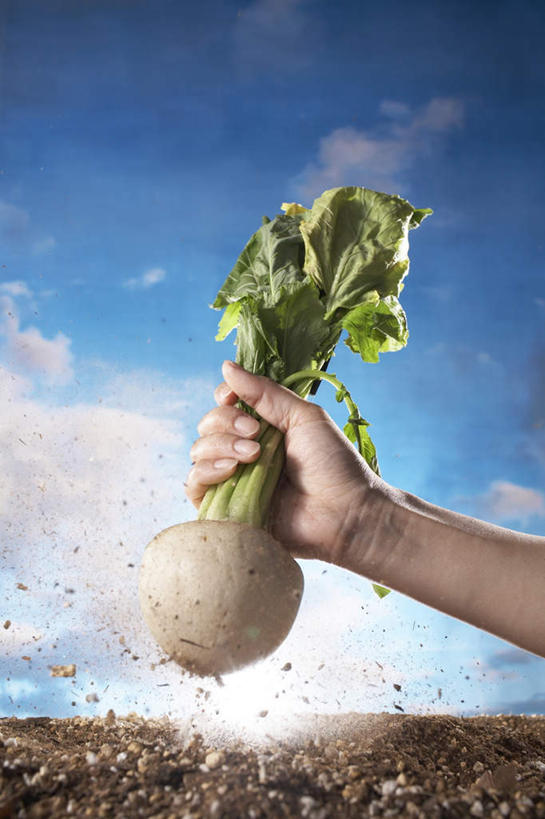 一个人,站,竖图,室外,特写,白天,正面,湖,湖泊,水,萝卜,白萝卜,蔬菜,仅一个男性,仅一个人,握,朦胧,模糊,新鲜,湖面,水流,水面,云,云朵,食品,拿,云彩,拿着,食物,仅一个年轻男性,一个,蓝色,白云,蓝天,天空,湖水,天,站着,握着,摄影,有机食品,绿色食品,影棚,晴朗,单个,男人,男性,年轻男性,晴空,莱菔,站立,半身,彩图,影棚拍摄,拍摄