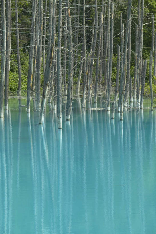 无人,竖图,室外,白天,正面,旅游,度假,草地,草坪,河流,美景,水,植物,北海道,日本,亚洲,阴影,波纹,光线,影子,河水,景观,水流,娱乐,草,树,树干,树木,蓝色,绿色,倒影,水纹,阳光,自然,波浪,享受,休闲,景色,放松,生长,成长,自然风光,东亚,日本国,北海道地方,北海道岛,彩图