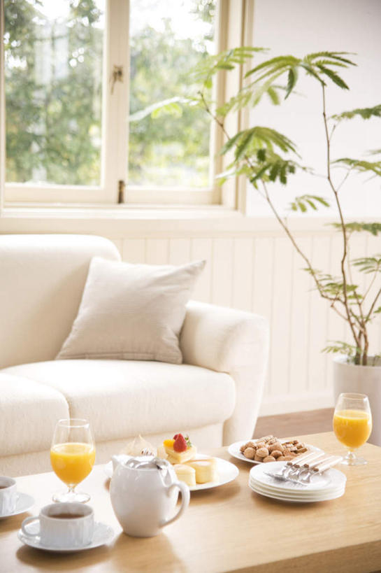 点心,无人,客厅,竖图,俯视,室内,白天,幸福,植物,茶,窗户,地板,靠垫,沙发,杯子,餐具,阴影,光线,瓷器,碟子,壶,盘,盆栽,影子,墙,食品,甜点,甜品,咖啡杯,靠枕,盆景,陶瓷制品,地面,娱乐,木地板,玻璃窗,墙壁,墙面,水壶,树,树木,食物,糕点,饮料,绿色,阳光,自然,盘子,茶壶,垫子,碟,枕头,甜食,享受,休闲,温馨,放松,乐趣,生长,成长,柠檬茶,起居室,舒适,瓷杯,布艺沙发,彩图,高角度拍摄