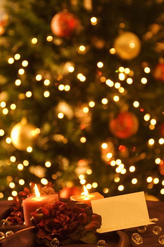 无人,竖图,室内,特写,白天,正面,爱情,幸福,纯洁,热情,植物,玫瑰,蜡烛,照明,圣诞节,一棵,节日,朦胧,模糊,庆祝,装饰,盛开,彩灯,火焰,烛光,灯光,圣诞树,玫瑰花,浪漫,燃烧,花蕾,文化,灯,花,花瓣,花朵,鲜花,树,树木,两个,一朵,红色,绿色,自然,灯具,花苞,花蕊,点燃,庆典,温暖,温馨,恩爱,生长,成长,纪念,华丽,修饰,照亮,点缀,和睦,照明设备,感动,衬托,美观,雅致,雅观,尊敬,天真,刺玫花,徘徊花,彩图,融洽