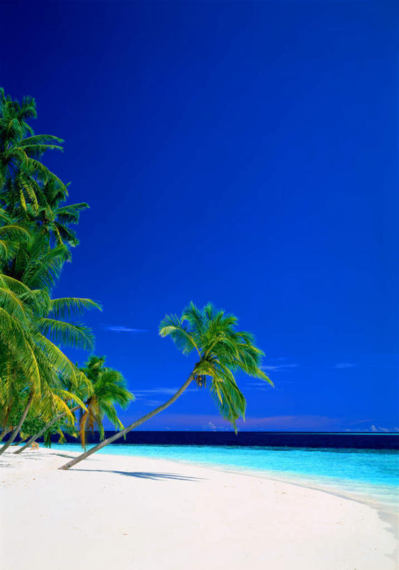 无人,竖图,室外,白天,正面,旅游,度假,海浪,海洋,美景,沙滩,植物,阴影,波纹,光线,沙子,影子,海岸,景观,浪花,沙地,娱乐,树,树木,蓝色,绿色,蓝天,水纹,天空,阳光,自然,海水,波浪,天,享受,休闲,景色,放松,生长,成长,自然风光,海景,大海,风浪,海,海水的波动,海滩,近岸浪,涌浪,彩图