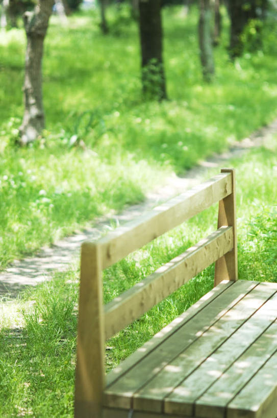 无人,竖图,俯视,室外,白天,旅游,度假,草地,草坪,美景,植物,道路,路,椅子,一排,阴影,整齐,光线,影子,长椅,木椅,景观,小路,交通,娱乐,草,树,树木,排列,绿色,阳光,自然,享受,休闲,景色,放松,乡间小路,生长,成长,队列,自然风光,彩图,高角度拍摄