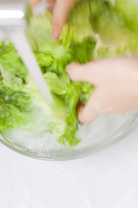 东方人,手,一个人,摸,竖图,俯视,室内,特写,白天,水,厨房,蔬菜,亚洲,仅一个年轻女性,仅一个女性,仅一个人,抚摸,握,飞溅,朦胧,模糊,新鲜,溅,液体,水池,水滴,生菜,莴苣,食品,拿,拿着,黄种人,水珠,食物,绿色,手部,握着,流动,有机食品,绿色食品,喷洒,春菜,鹅仔菜,莴仔菜,千金菜,叶用莴苣,年轻女性,女人,女性,亚洲人,触摸,接触,清洗,半身,彩图,高角度拍摄,灶间