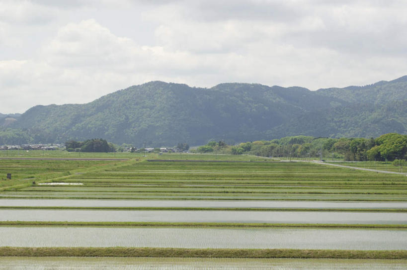 无人,家,农田,横图,室外,白天,正面,旅游,度假,庄稼,农作物,美景,树林,水,植物,城市风光,城市,道路,建筑,路,房屋,屋子,景观,山川,云,云朵,建筑群,小路,交通,云彩,娱乐,建设,楼房,住宅,树,树木,蓝色,绿色,白云,蓝天,天空,自然,天,享受,休闲,景色,放松,乡间小路,生长,晴朗,成长,晴空,彩图,耕地,庄稼田,房子