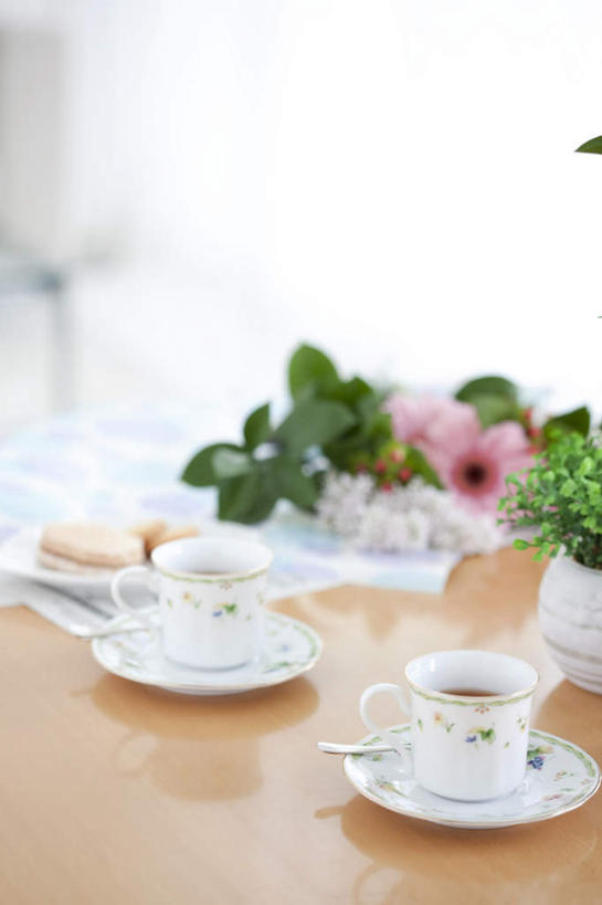 点心,面包,无人,竖图,俯视,室内,白天,幸福,植物,餐桌,茶,桌子,叶子,许多,盛开,茶叶,食品,面点,绿叶,非洲菊,饮品,娱乐,花,花瓣,花朵,花卉,鲜花,食物,糕点,粉色,花茶,花蕊,享受,休闲,温馨,嫩叶,菊花,放松,乐趣,保健,养生,餐台,花草茶,舒适,扶郎花,灯盏花,千日菊,香花茶,香片,熏花茶,叶,叶片,彩图,高角度拍摄